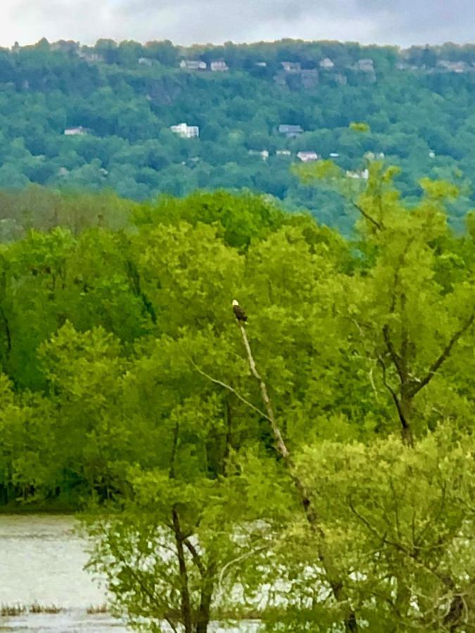 Chattanooga Room At Tennessee Riverplace Bagian luar foto
